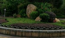 萦绕耳畔的口琴声