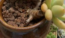 那一次我懂得了耐心