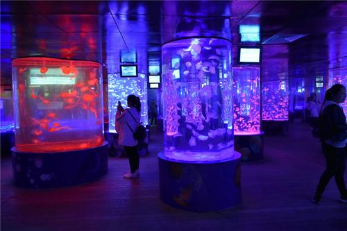 游览六安海洋世界