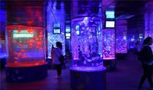 游六安海洋大世界