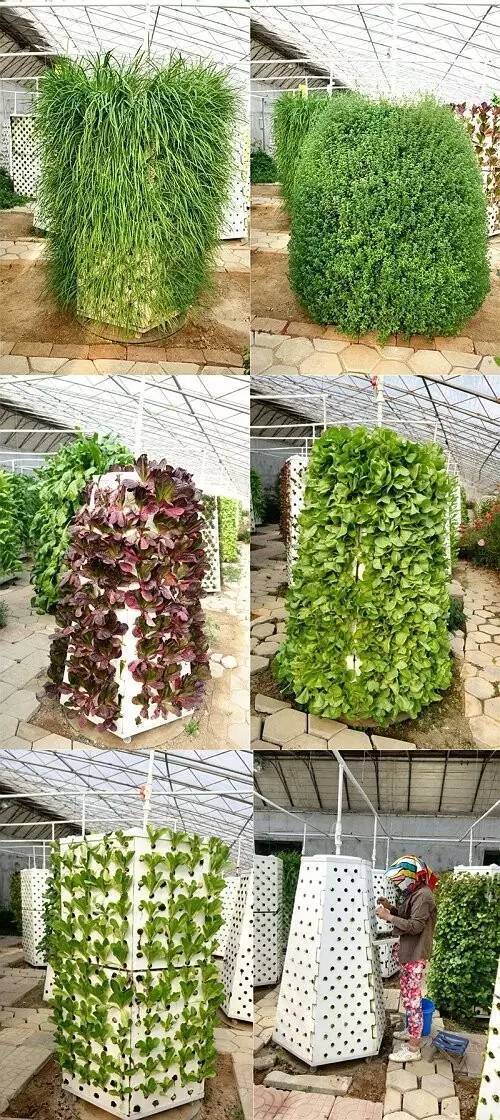 气溶胶种植种植经验与实践活动