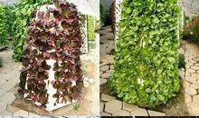 气雾培种植体验实践活动