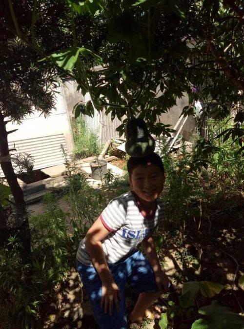 暑假生活经历报告