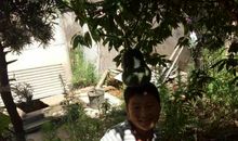 暑假生活体验报告