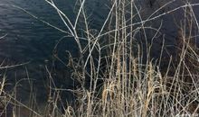 几十年后的家乡