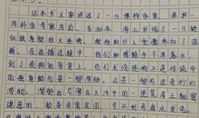 七年知情岁月读后感