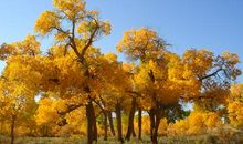 一路成长一路阳光