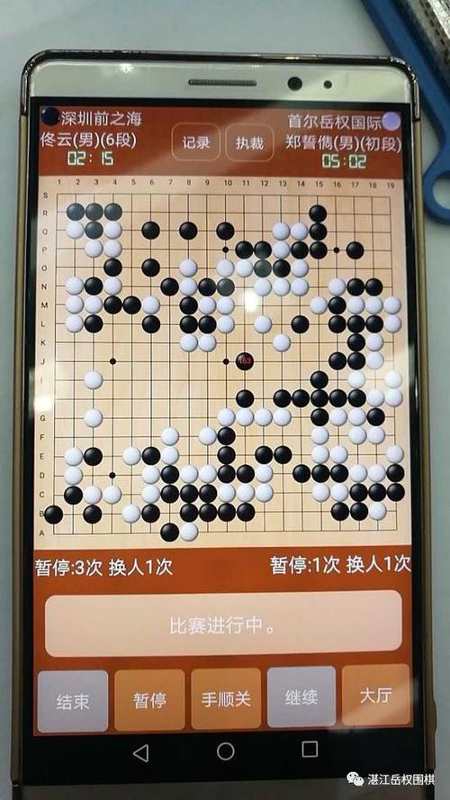 我是国际象棋迷