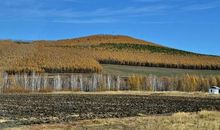 最好的时光在路上读后感