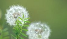 一起长大的约定