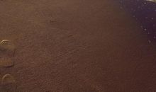 心底里的那朵浪花