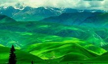 八月的那拉提草原