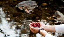 我在那片绚烂中迷醉