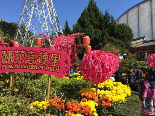“农历新年花卉市场”之旅