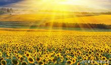 相信坚持的力量