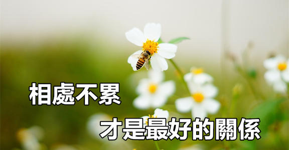 友谊依然存在