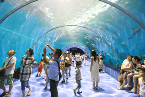 海洋公园充满欢乐