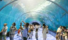 充满快乐的海洋公园