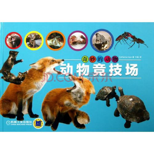 魔术牛