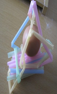 鸡蛋保护器