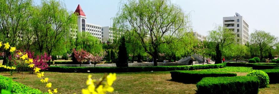 学校春天