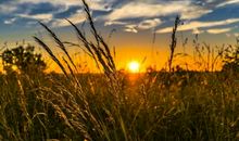 把走错的路当财富