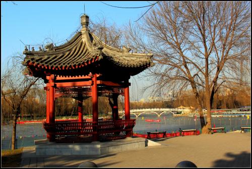 美丽的陶然亭公园