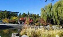 美丽的中心花园