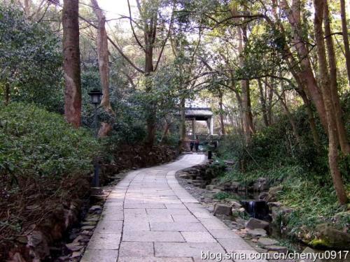 虎跑拳