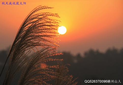 微笑温暖的阳光