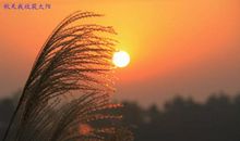 微微一笑一片暖阳