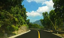 一路飘摇一路荣耀