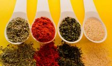 我暑假生活的调味品