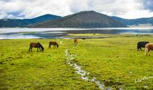 欣赏美景，赞颂生命