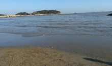 心底的那朵浪花