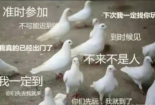 我有趣的兄弟
