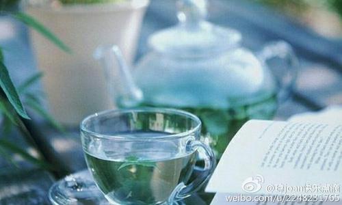 下午自由活动