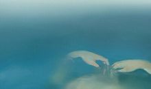 给我一个明媚微笑就好了