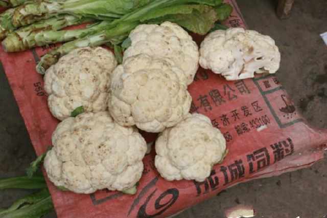 第一次独自购物