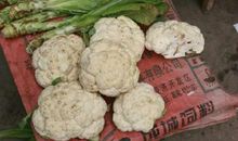 第一次独自买菜