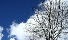 依旧不变的是那份执着