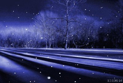 雪飘