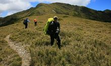 忍得苦涩苦尽甘来