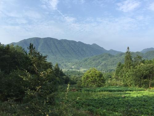 空山