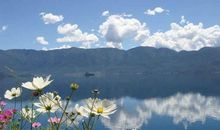 风雨兼程，只为远方