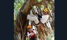 第一次爬树尝试