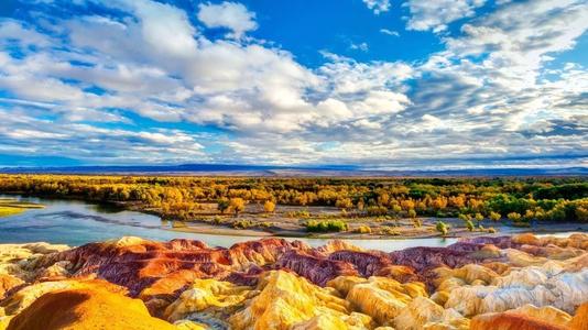 金志怀下最美的人物