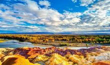 金枝槐下最美丽的身影