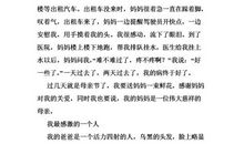 坐井观天新编作文400字