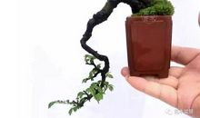 忙在其中乐在其中